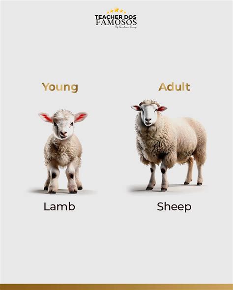 "Deixe uma resposta" place it by evento sinonimo