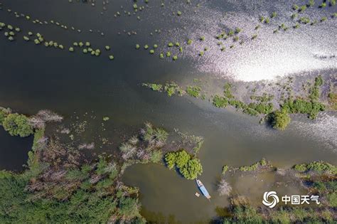 长江涨水 湖北黄冈江滩公园树木浸水-图片频道