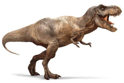 食蜥王龙：北美洲巨型食肉恐龙（长14米/距今1.5亿年前）_探秘志
