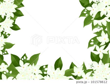 Image result for Java Display Choices