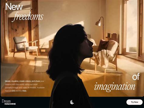 Luma Video 的图像结果