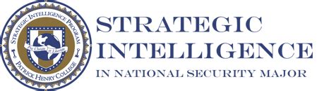 Image result for Strategic Intelligence Network