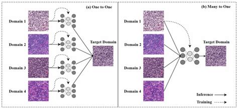 Diagnostics | An Open Access Journal from MDPI
