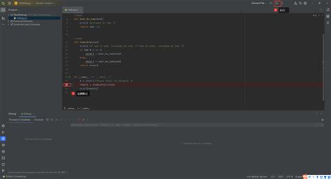 PyCharm Debug 的图像结果