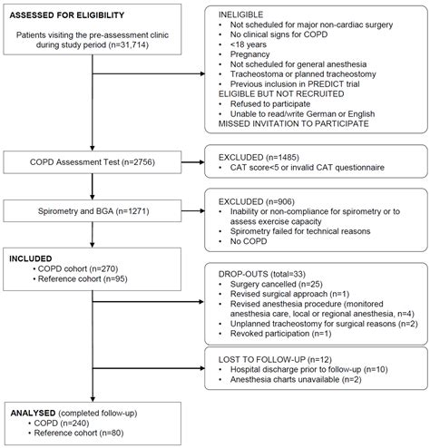 Functional Capacity Test 的图像结果