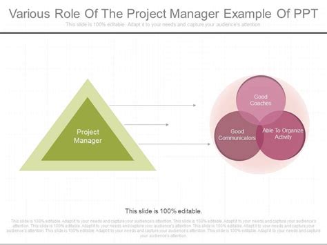 Image result for Program and Project Manager Role Illustration