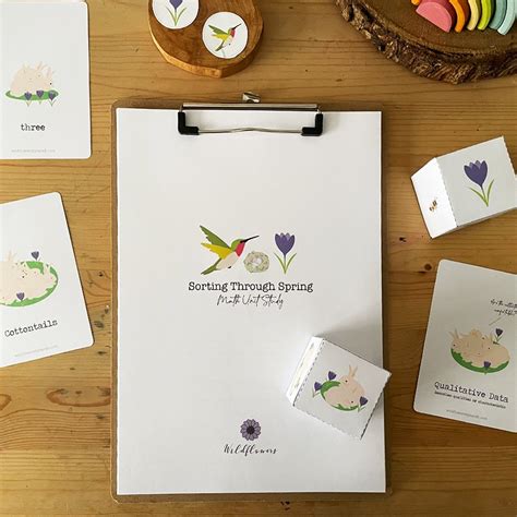 Image result for Sorting through Spring