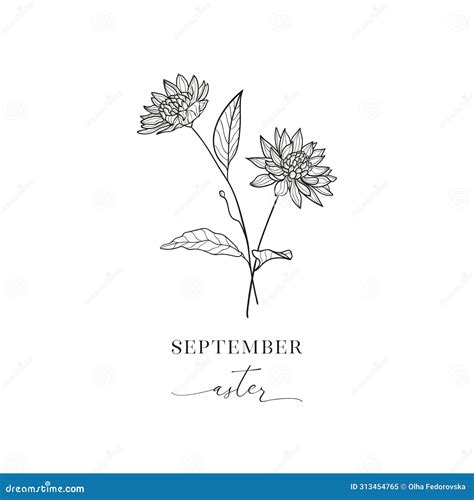 Aster. September Birth Month Flower. Birth Flowers Vintage Floral ...