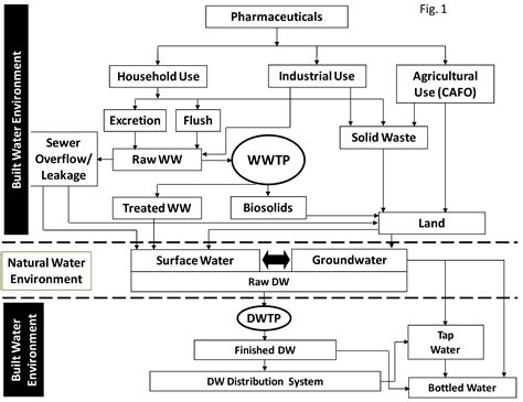 Pharmaceuticals in the Built and Natural Water Environment of the ...