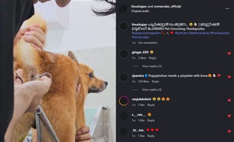 Behind the Scenes – A Fun Pet Influencer Collaboration with Roms N Raks ...