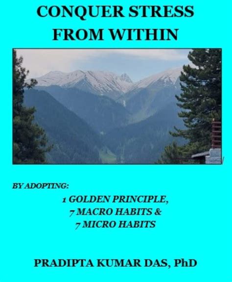 CONQUER STRESS FROM WITHIN: BY MASTERING: 1 GOLDEN PRINCIPLE, 7 MACRO ...