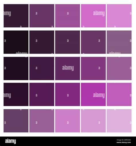 Violet Vs Purple Vs Lavender