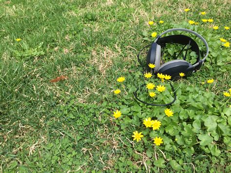 Image result for Spring Sounds