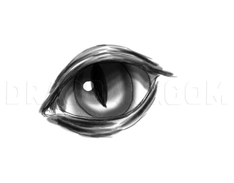 How To Draw And Color Dragon Eyes, Drawing, Step by Step, by ...