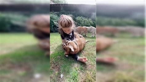 Woman hugs and kisses tiger cubs in viral video, internet calls it ...