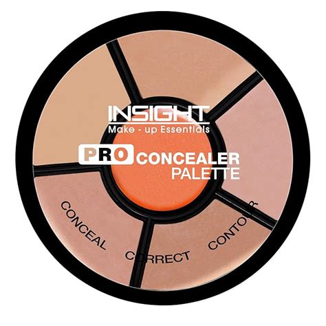 Buy INSIGHT Pro Concealer Palette – Shade Concealer | Makeup Wheel for ...