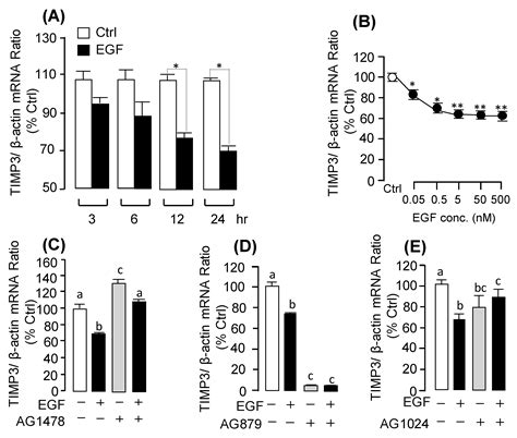 Novel Pituitary Actions of Epidermal Growth Factor: Receptor ...