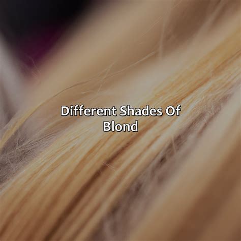 Different Shades Of Blond - colorscombo.com