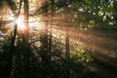 It All Belongs to God: A Call to Stewardship of Creation, 200 Boyd ...