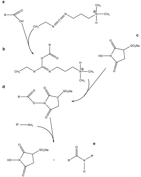 Grafting Techniques towards Production of Peptide-Tethered Hydrogels, a ...