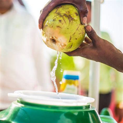 Coco Pani Fresh Coconut Water Delivery | LBB Pune