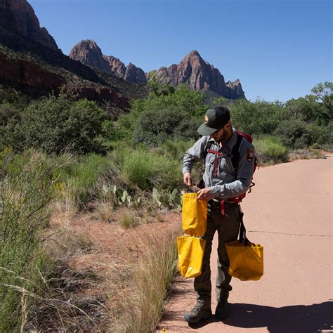 Protecting native plants during your Zion National Park visit - The Independent | Southern Utah ...