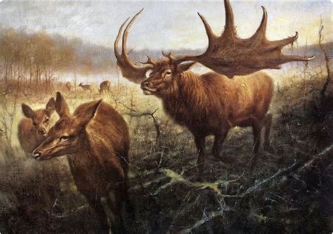 An extinct Irish elk (Megaloceros giganteus) keeping an eye on the does in his herd. Prehistoric ...