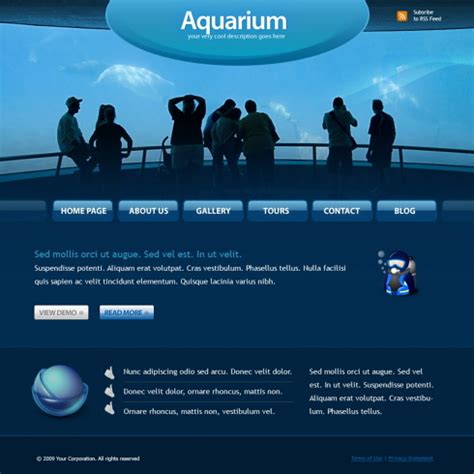 Flash Templates 的图像结果