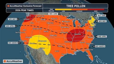 Tree pollen and grass pollen levels rise high in N.J. - nj.com