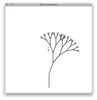 Recursion Python 的图像结果