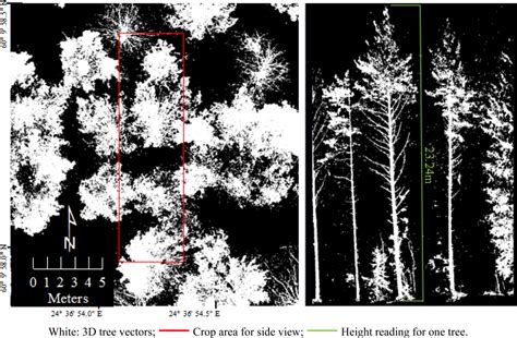 An International Comparison of Individual Tree Detection and Extraction ...