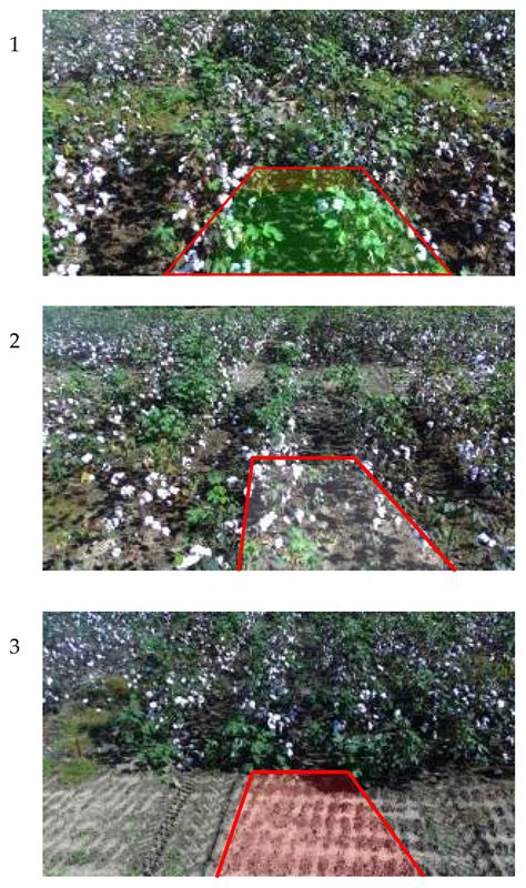 Evaluation of a Stereo Vision System for Cotton Row Detection and Boll ...