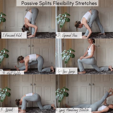 Image result for Split Flexibility