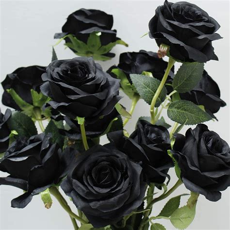 Real Black Roses