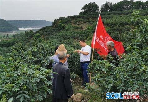 五一游川③|德阳好看：玫瑰园花开正盛，三星堆古蜀神奇_四川在线