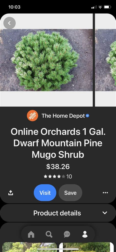 landscaping ideas home depot