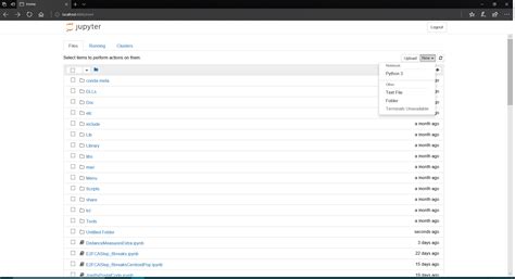 Esri Notebook Example 的图像结果