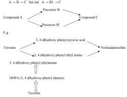 Radioactive Tracers - Zoology Optional Notes for UPSC PDF Download