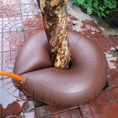 Image result for Drip Irrigation Tree Ring