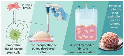 Foods | Special Issue : Recombinant Proteins for Food Applications