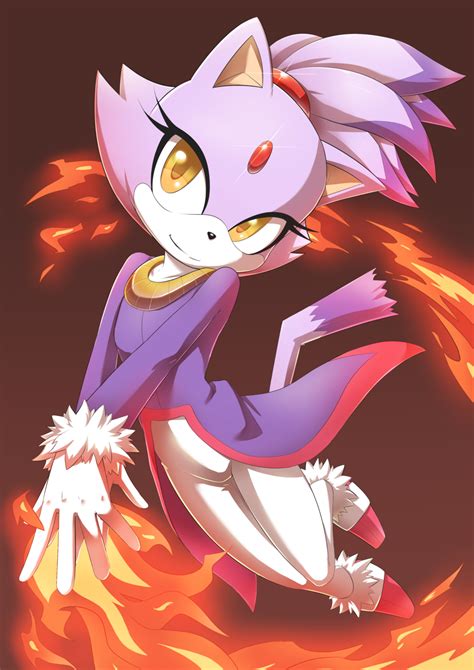 Blaze the Cat | Sonic, Sonic the hedgehog, Hedgehog