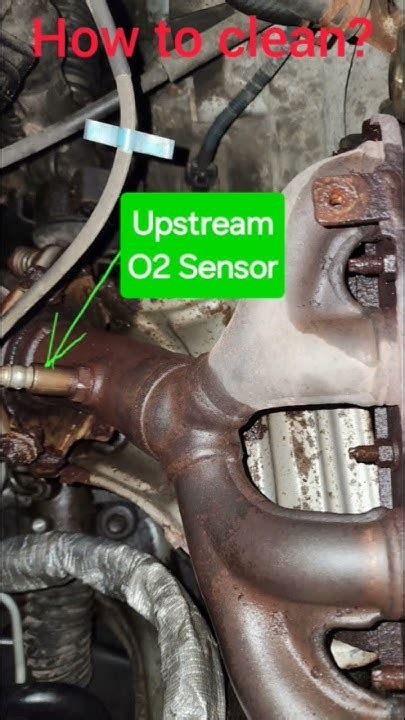 Image result for Lubricating O2 Sensors