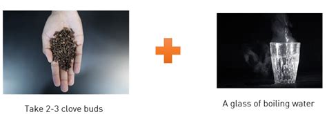 Clove and its Role in Cancer