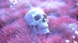 Skeleton wallpapers hd, desktop backgrounds, images and pictures