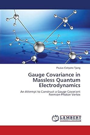 Buy Gauge Covariance in Massless Quantum Electrodynamics Book Online at ...