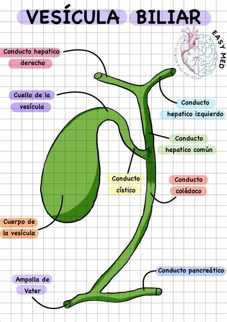 Image result for Flowchart of LDA Algorithm in Machine Learning