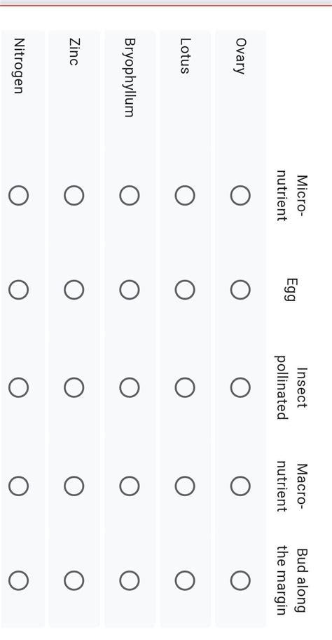 plsss answer quickthe quick answer and correct answer will be marked as ...