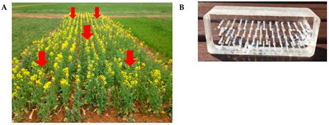Technologies for the Selection, Culture and Metabolic Profiling of ...