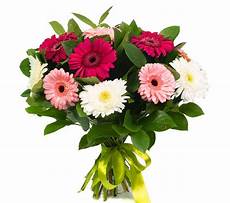 fiori per chiedere scusa chiedere scusa con i fiori consegnare o regalare fiori e fiori per chiedere scusa chiedere scusa con i fiori consegnare o regalare fiori e