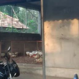 Best Top Rated Halal restaurant in Mynagappally, Kerala, India | Yappe.in